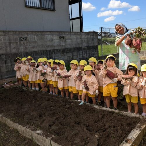 We enjoyed sweet potato digging!