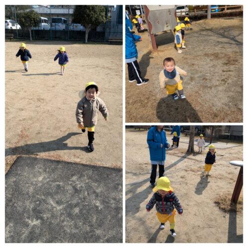 りんごの木　お散歩·公園遊び